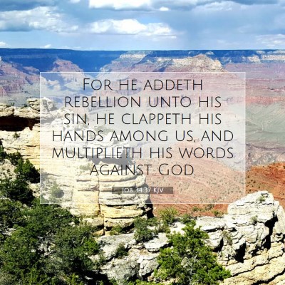 Picture 07 - Job 34:37 KJV - For he addeth rebellion unto his sin, he clappeth - Bible Verse Picture