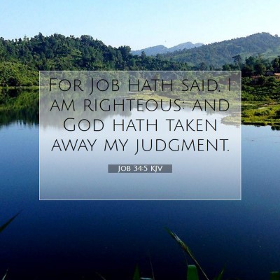 Picture 07 - Job 34:5 KJV - For Job hath said, I am righteous: and God hath - Bible Verse Picture