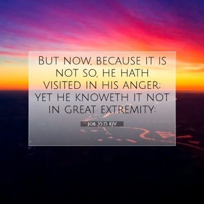 Picture 07 - Job 35:15 KJV - But now, because it is not so, he hath visited in - Bible Verse Picture