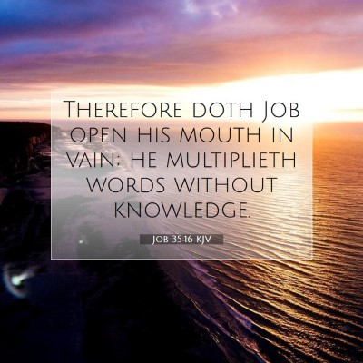 Picture 07 - Job 35:16 KJV - Therefore doth Job open his mouth in vain; he - Bible Verse Picture