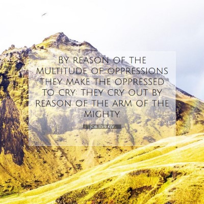 Picture 07 - Job 35:9 KJV - By reason of the multitude of oppressions they - Bible Verse Picture