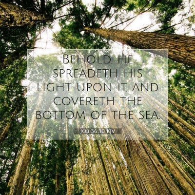 Picture 07 - Job 36:30 KJV - Behold, he spreadeth his light upon it, and - Bible Verse Picture