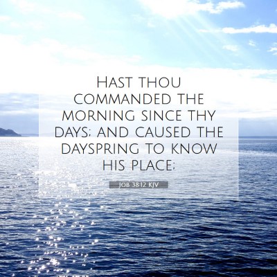 Picture 07 - Job 38:12 KJV - Hast thou commanded the morning since thy days; - Bible Verse Picture