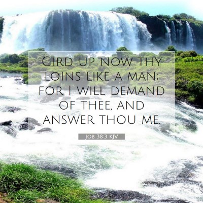 Picture 07 - Job 38:3 KJV - Gird up now thy loins like a man; for I will - Bible Verse Picture