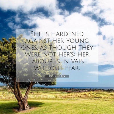 Picture 07 - Job 39:16 KJV - She is hardened against her young ones, as though - Bible Verse Picture