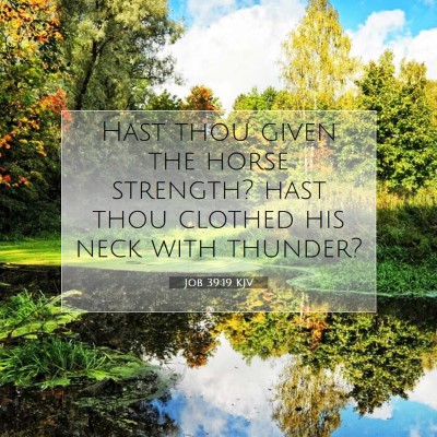 Picture 07 - Job 39:19 KJV - Hast thou given the horse strength? hast thou - Bible Verse Picture