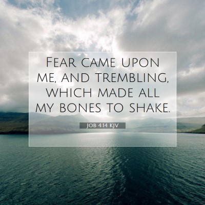 Picture 07 - Job 4:14 KJV - Fear came upon me, and trembling, which made all - Bible Verse Picture
