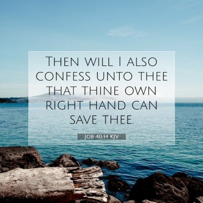 Picture 07 - Job 40:14 KJV - Then will I also confess unto thee that thine own - Bible Verse Picture