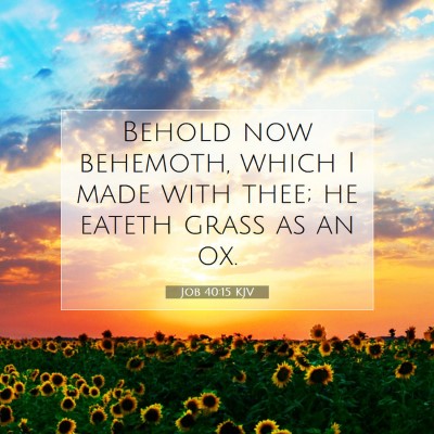 Picture 07 - Job 40:15 KJV - Behold now behemoth, which I made with thee; he - Bible Verse Picture