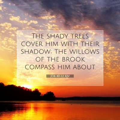 Picture 07 - Job 40:22 KJV - The shady trees cover him with their shadow; the - Bible Verse Picture