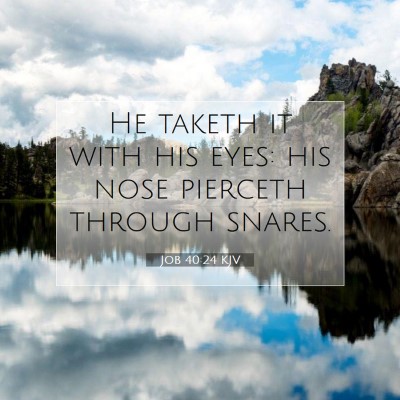 Picture 07 - Job 40:24 KJV - He taketh it with his eyes: his nose pierceth - Bible Verse Picture