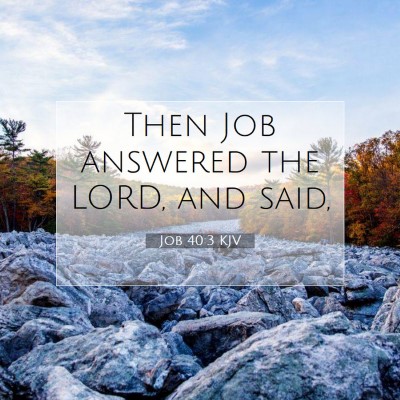 Picture 07 - Job 40:3 KJV - Then Job answered the LORD, and - Bible Verse Picture