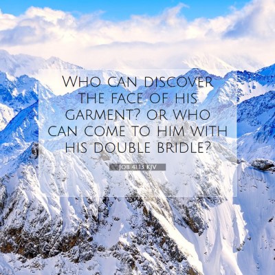 Picture 07 - Job 41:13 KJV - Who can discover the face of his garment? or who - Bible Verse Picture