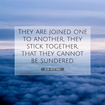 Picture 07 - Job 41:17 KJV - They are joined one to another, they stick - Bible Verse Picture