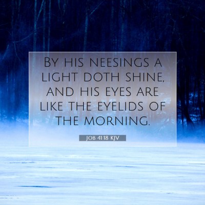 Picture 07 - Job 41:18 KJV - By his neesings a light doth shine, and his eyes - Bible Verse Picture