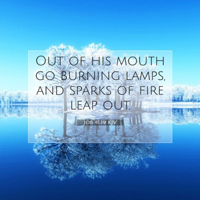 Picture 07 - Job 41:19 KJV - Out of his mouth go burning lamps, and sparks of - Bible Verse Picture