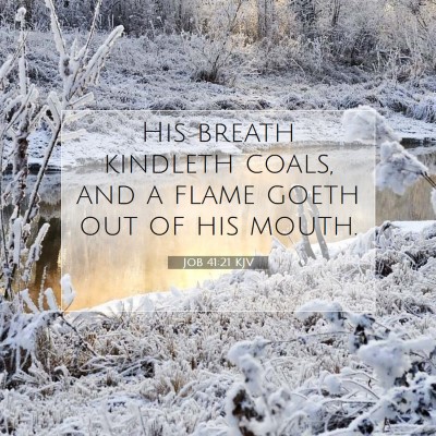Picture 07 - Job 41:21 KJV - His breath kindleth coals, and a flame goeth out - Bible Verse Picture