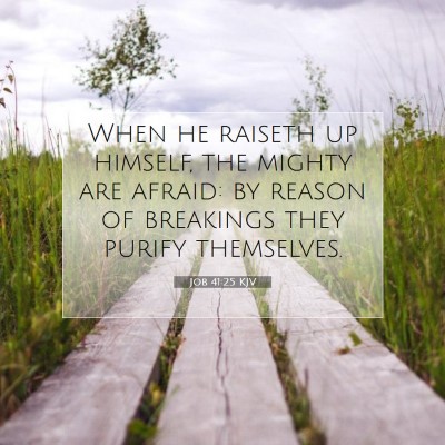 Picture 07 - Job 41:25 KJV - When he raiseth up himself, the mighty are - Bible Verse Picture