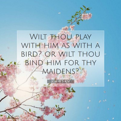 Picture 07 - Job 41:5 KJV - Wilt thou play with him as with a bird? or wilt - Bible Verse Picture
