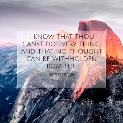 Picture 07 - Job 42:2 KJV - I know that thou canst do every thing, and that - Bible Verse Picture