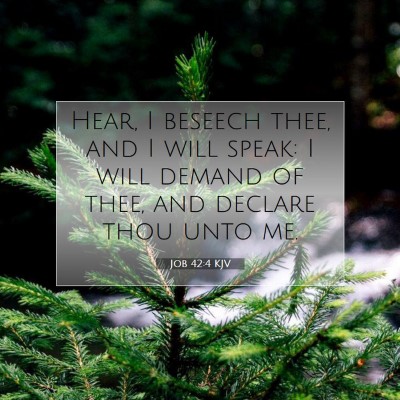 Picture 07 - Job 42:4 KJV - Hear, I beseech thee, and I will speak: I will - Bible Verse Picture