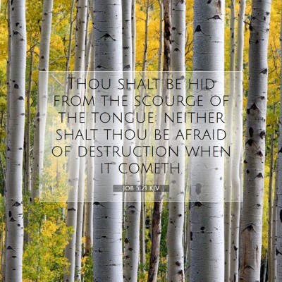Picture 07 - Job 5:21 KJV - Thou shalt be hid from the scourge of the tongue: - Bible Verse Picture