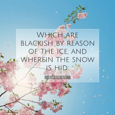 Picture 07 - Job 6:16 KJV - Which are blackish by reason of the ice, and - Bible Verse Picture