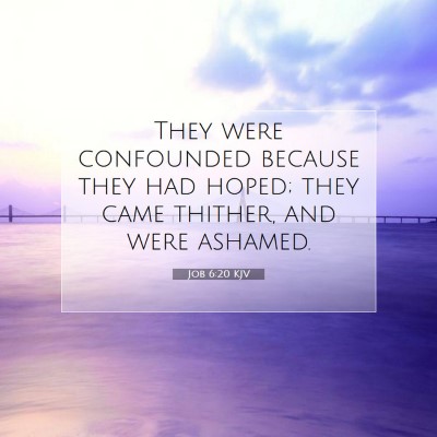Picture 07 - Job 6:20 KJV - They were confounded because they had hoped; they - Bible Verse Picture