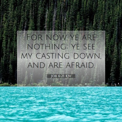 Picture 07 - Job 6:21 KJV - For now ye are nothing; ye see my casting down, - Bible Verse Picture