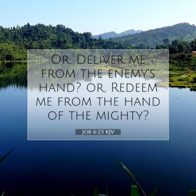 Picture 07 - Job 6:23 KJV - Or, Deliver me from the enemy's hand? or, Redeem - Bible Verse Picture