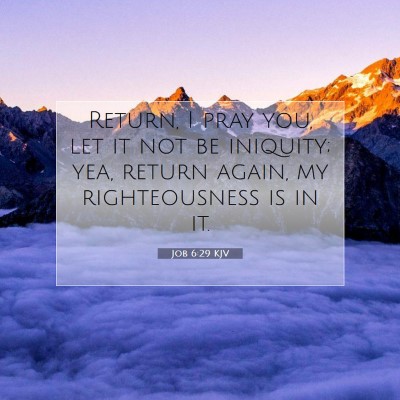 Picture 07 - Job 6:29 KJV - Return, I pray you, let it not be iniquity; yea, - Bible Verse Picture