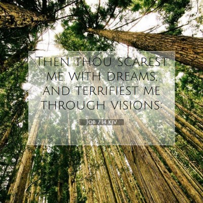 Picture 07 - Job 7:14 KJV - Then thou scarest me with dreams, and terrifiest - Bible Verse Picture
