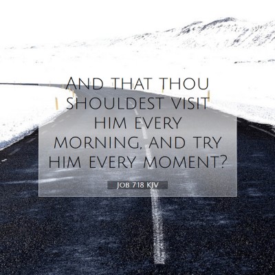 Picture 07 - Job 7:18 KJV - And that thou shouldest visit him every morning, - Bible Verse Picture