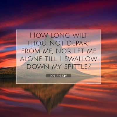 Picture 07 - Job 7:19 KJV - How long wilt thou not depart from me, nor let me - Bible Verse Picture