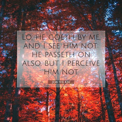 Picture 07 - Job 9:11 KJV - Lo, he goeth by me, and I see him not: he passeth - Bible Verse Picture