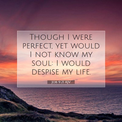 Picture 07 - Job 9:21 KJV - Though I were perfect, yet would I not know my - Bible Verse Picture