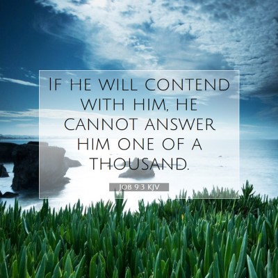 Picture 07 - Job 9:3 KJV - If he will contend with him, he cannot answer him - Bible Verse Picture