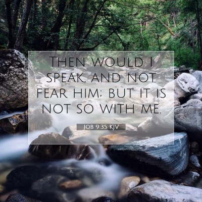 Picture 07 - Job 9:35 KJV - Then would I speak, and not fear him; but it is - Bible Verse Picture