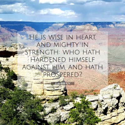 Picture 07 - Job 9:4 KJV - He is wise in heart, and mighty in strength: who - Bible Verse Picture