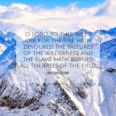 Picture 07 - Joel 1:19 KJV - O LORD, to thee will I cry: for the fire hath - Bible Verse Picture