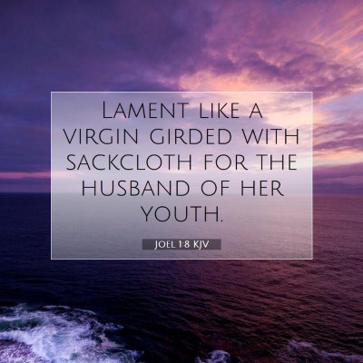 Picture 07 - Joel 1:8 KJV - Lament like a virgin girded with sackcloth for - Bible Verse Picture