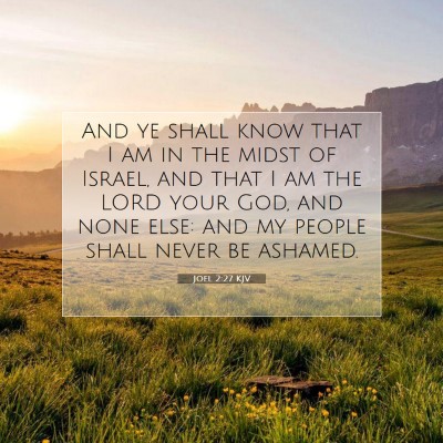 Picture 07 - Joel 2:27 KJV - And ye shall know that I am in the midst of - Bible Verse Picture