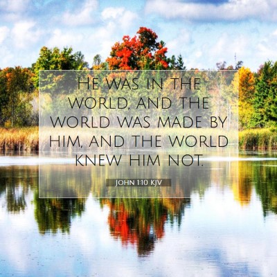 Picture 07 - John 1:10 KJV - He was in the world, and the world was made by - Bible Verse Picture
