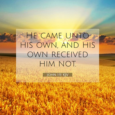 Picture 07 - John 1:11 KJV - He came unto his own, and his own received him - Bible Verse Picture