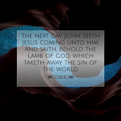Picture 07 - John 1:29 KJV - The next day John seeth Jesus coming unto him, - Bible Verse Picture