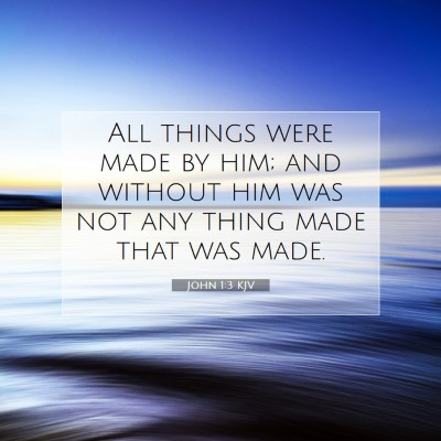 Picture 07 - John 1:3 KJV - All things were made by him; and without him was - Bible Verse Picture