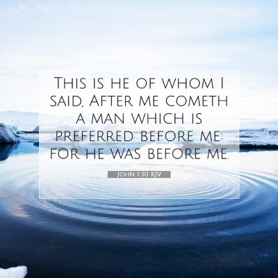 Picture 07 - John 1:30 KJV - This is he of whom I said, After me cometh a man - Bible Verse Picture