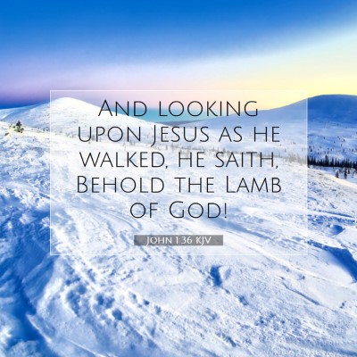 Picture 07 - John 1:36 KJV - And looking upon Jesus as he walked, he saith, - Bible Verse Picture