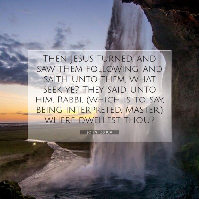 Picture 07 - John 1:38 KJV - Then Jesus turned, and saw them following, and - Bible Verse Picture