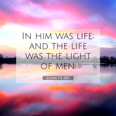 Picture 07 - John 1:4 KJV - In him was life; and the life was the light of - Bible Verse Picture